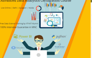 Data Analyst Certification Course in Delhi,110032.