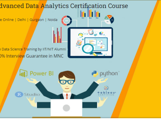 Data Analyst Certification Course in Delhi,110032.