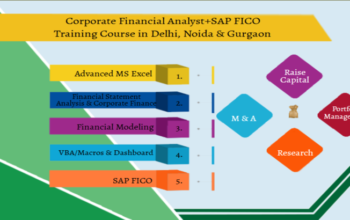 Financial Modelling Certification Course in Delhi,